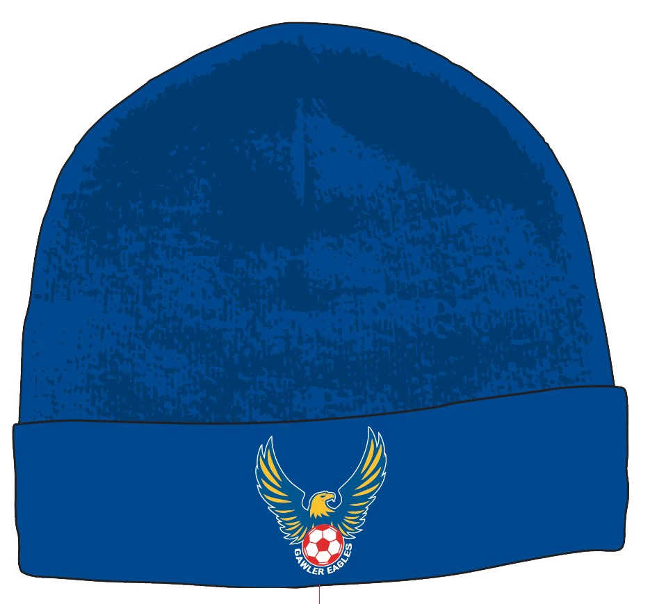 GEFC | Beanie